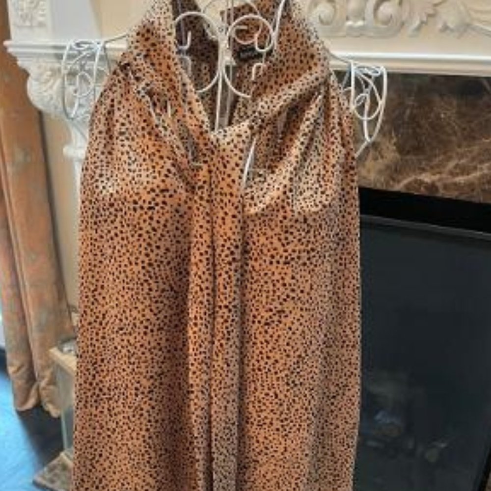 Robertson Rodeo Sleeveless Blouse